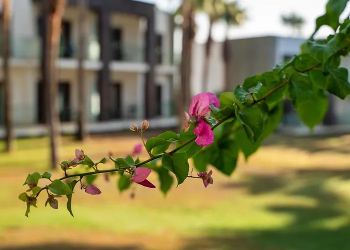 Hillstone & Hotel 5*
