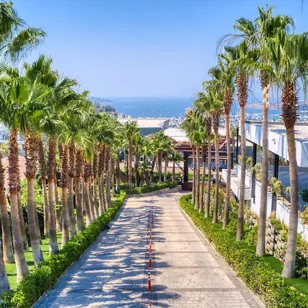 Hillstone & Hotel Bodrum