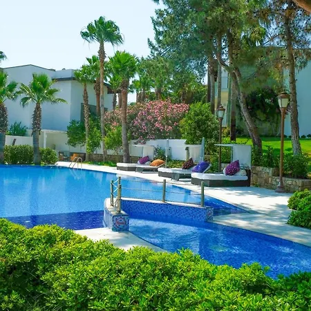 Hotel Hillstone & 5*