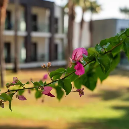 Hillstone Hotel&spa Hotel 5*