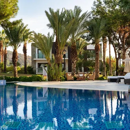 Hillstone & Bodrum