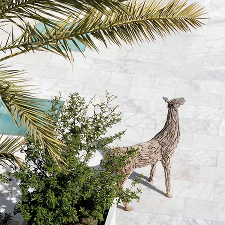 Hillstone & 호텔 Bodrum