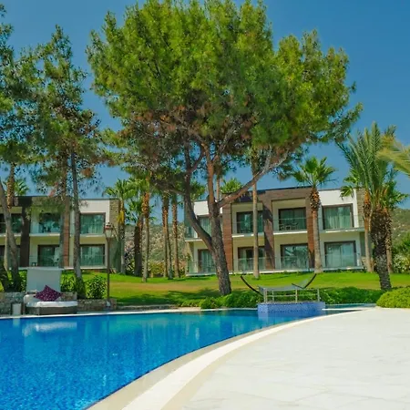 Hillstone & 5*