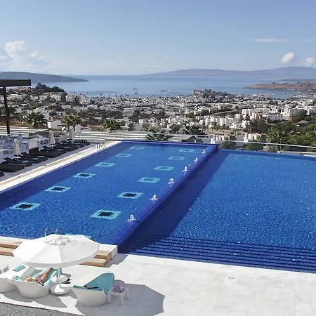 Hillstone & Hotell