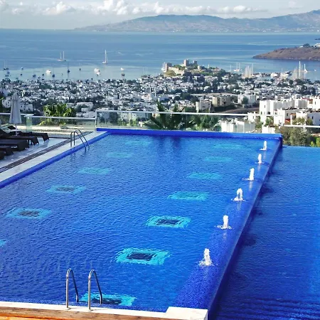 Hillstone & 博德鲁姆